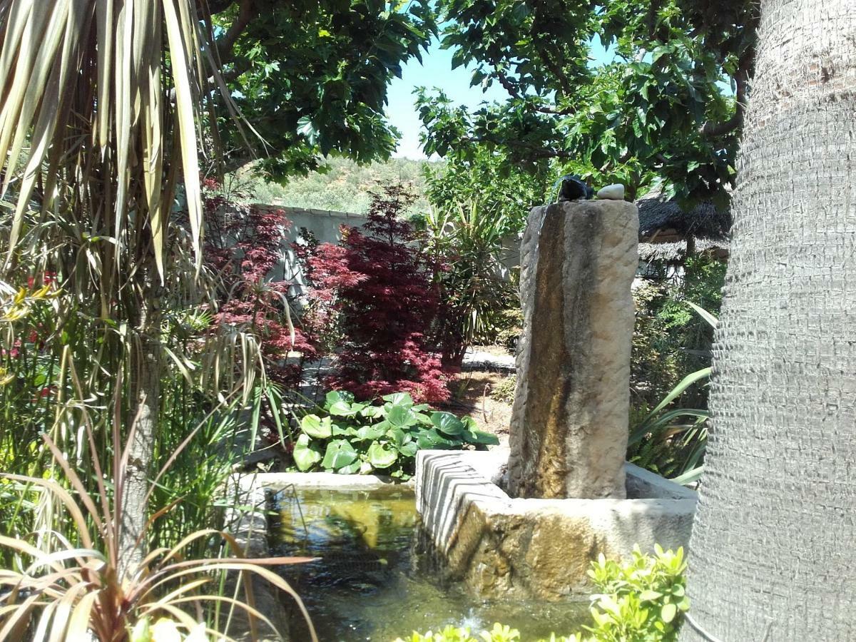 Studios Domaine L'Oliveraie 勒卡斯特雷特 外观 照片